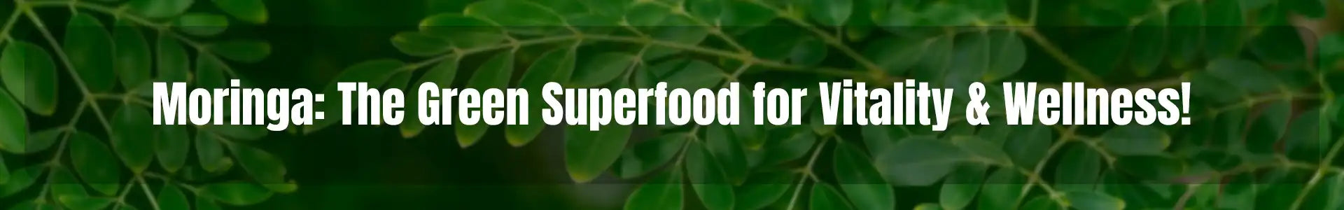 moringa-banner.webp__PID:437e7b0b-fe57-42dd-9228-fe87a492b000